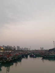 1000016484