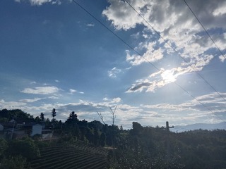 1000038306