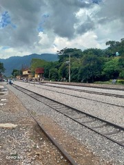 2373202