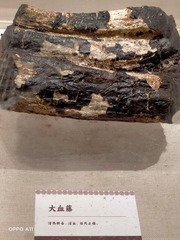 2372860
