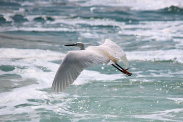 IMG_8428-2.jpg