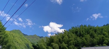 1000003706