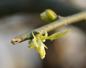 DSC04141.jpg