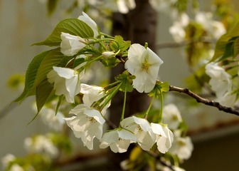 DSC03545.jpg