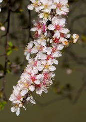 DSC03352.jpg