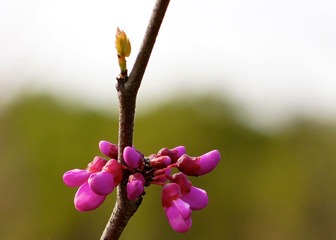 DSC03312.jpg