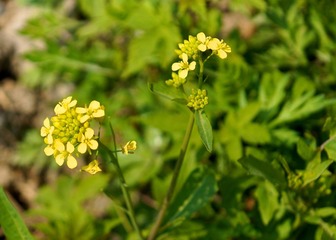 DSC04064.jpg