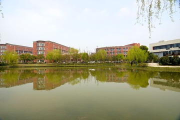 DSC03872.jpg
