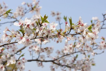 DSC03837.jpg