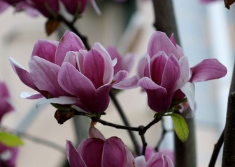 DSC03670.jpg
