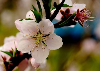 DSC03639.jpg
