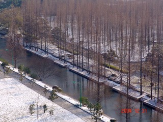 DSC00503.jpg