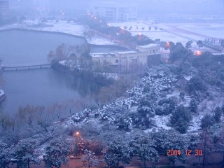 DSC00490.jpg