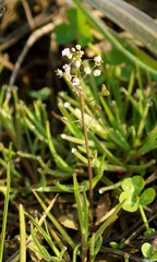 DSC03082.jpg