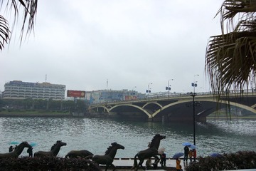 DSC02169.jpg