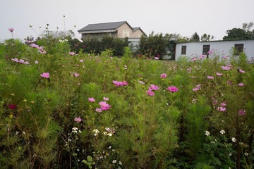 2013-04-012 (1920).jpg