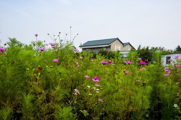 2013-04-033 (1920).jpg