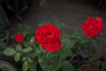 2013-05-008 (1920).jpg