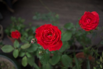2013-05-009 (1920).jpg