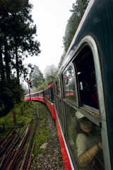 L1005034