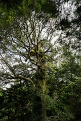 L1004957