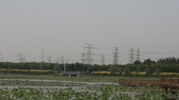 364809