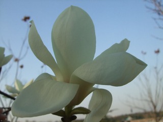 DSCF4698.JPG