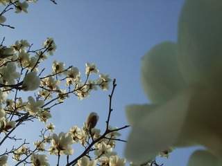 DSCF4700.JPG