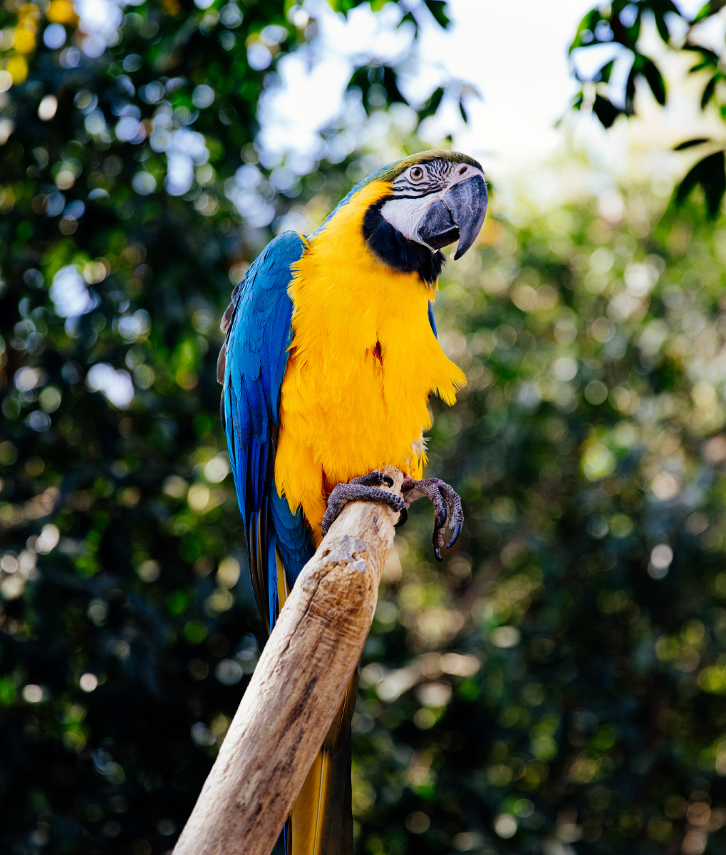 polly - 小屿日记摄影工作室 - 图虫