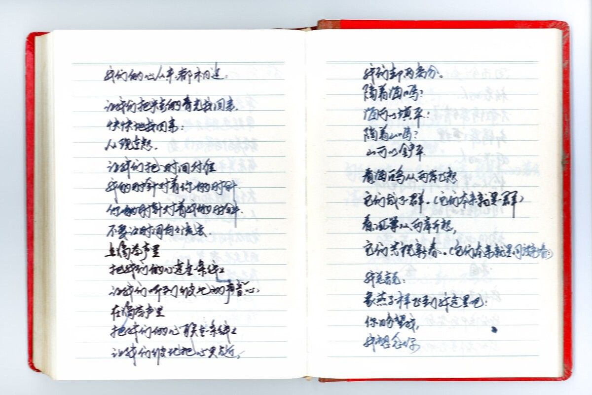 11. 年份未知,大寨村,日记本。