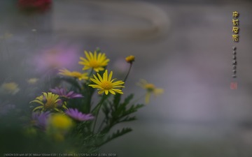 _FJ52289