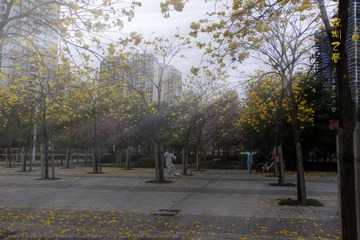 _FJ53352