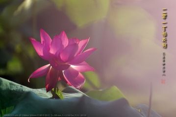 _FJ55681