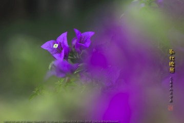 _FJ59099