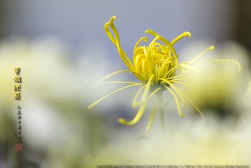 _FJ59572