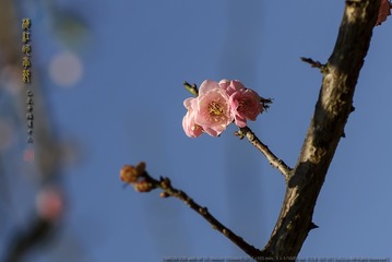 _F0J1857