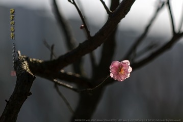 _F0J1988