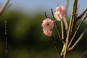 _F0J2021