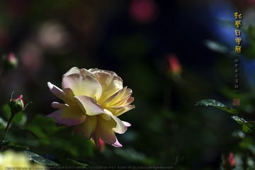 _F0J2979