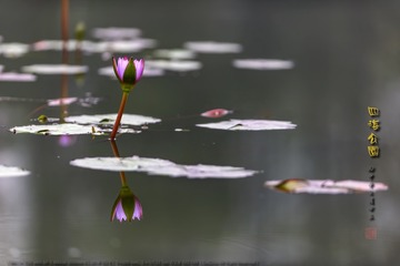 _F0J6936