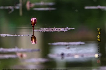 _F0J6972