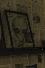 _SNR7849