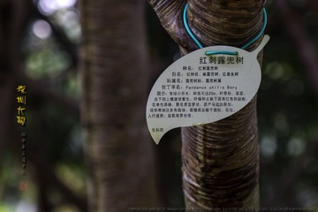 _SNR7951