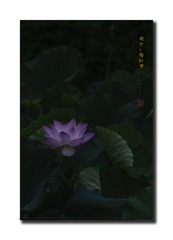 _SNR9662