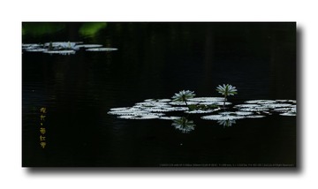 _SNR4559