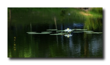_SNR4562