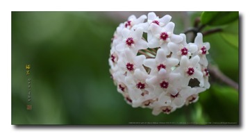 _SNR4597