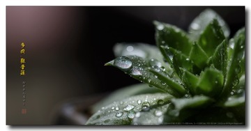 _SNR5539