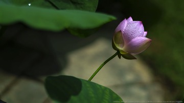 _DSC5139