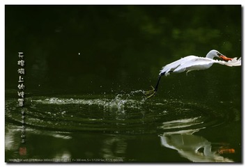 _GSD5389